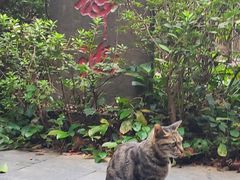 -常德桃花源景区