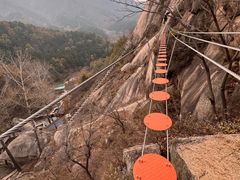 -六里坪国家森林公园