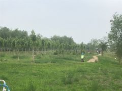 -兴安湖生态运动公园