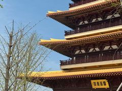 -牛首山文化旅游区