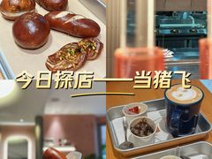-WHEN PIGS FLY当猪飞