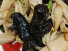 -上海新锦江大酒店