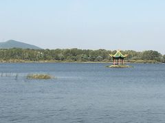 -北药泉