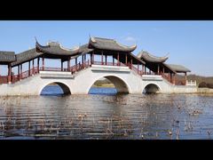 -上海海湾国家森林公园