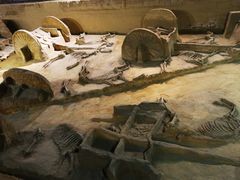 -洛阳周王城天子驾六博物馆