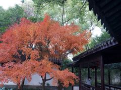 -惠山古镇·寄畅园