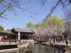 -春风习习