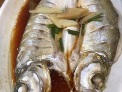 -老马家·舌尖上的西塘美食