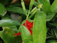 -朴厝私房菜(鼓浪屿店)
