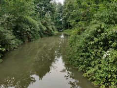 -桤木河湿地公园