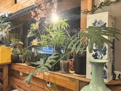 -谷咖啡·鲜花绿植花园餐厅