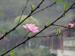 -重庆彩云湖湿地公园