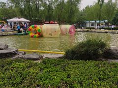 -朝阳公园游乐园