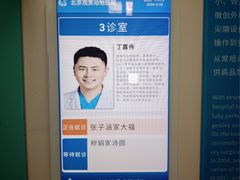 -北京观赏动物医院·24小时大型综合·猫专科·异宠专科
