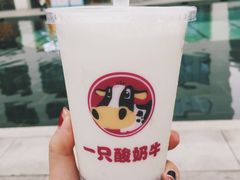 -一只酸奶牛(来福士店)