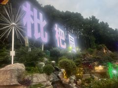 -枇杷园食为鲜火锅(南山店)