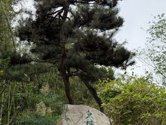 -云龙山