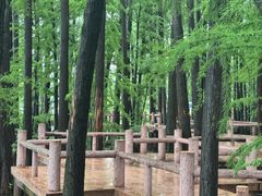 -东湖落雁景区