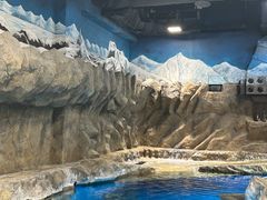 -香港海洋公园