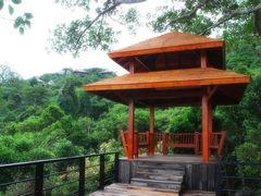 -三亚亚龙湾人间天堂鸟巢度假村