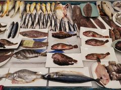 -魚當家