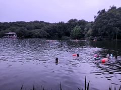-紫霞湖公园