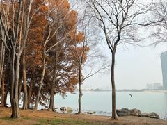 -蠡湖大桥公园