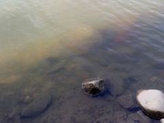android_upload_pic-新江湾城公园