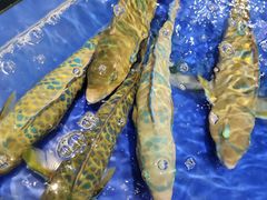 -三亚火车头万人海鲜广场