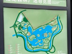 -桂湖森林公园