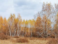 -塞罕坝国家级自然保护区