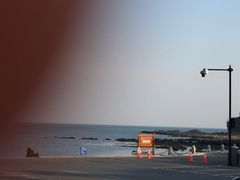 -棒棰岛宾馆景区