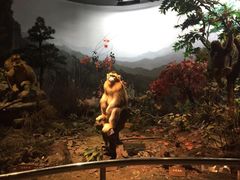 -陕西自然博物馆