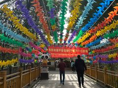 -水岸庭院·乡村柴火鸡