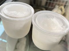 -洪馨椰子