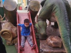 -陕西自然博物馆