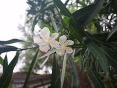 -丝绸小镇荻港古村