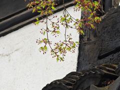 -苏州文庙(姑苏区)
