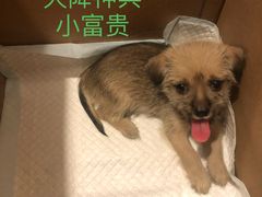 -立德动物医院·24小时中心(番禺区院区)