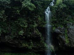 -龙苍沟森林公园