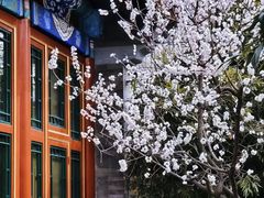 -北京颐和宾馆