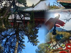 -潭柘寺景区