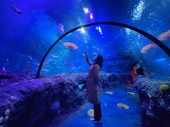 -沈阳海洋探索中心