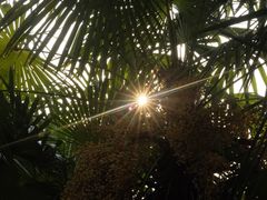 -Big House当代艺术中心