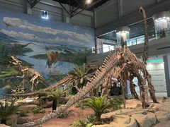 -自贡恐龙博物馆