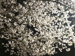 -江南大学(蠡湖校区)