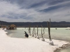 -盐湖景区