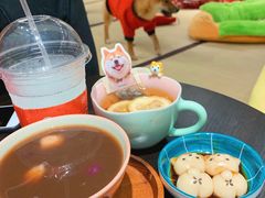 -逗柴咖啡屋·狗咖猫咖宠物桌游