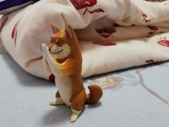 -Animate(秋叶原本馆)