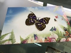 -上海昆虫博物馆